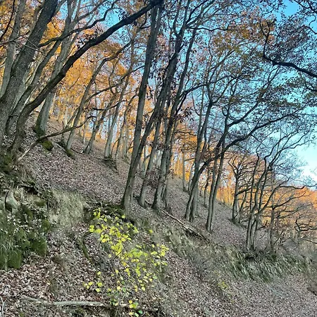 Beletage Eifel Appartement *