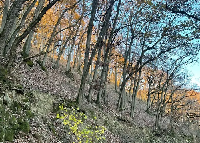 Beletage Eifel דירה *